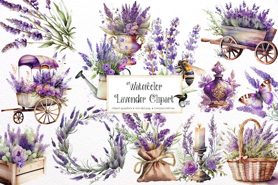 Watercolor Lavender Clipart - Provence floral wedding PNG format instant download for commercial use