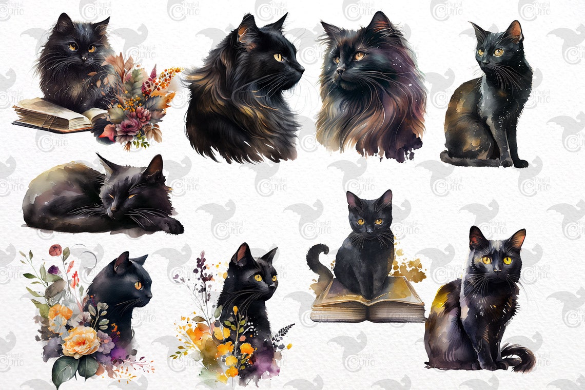 Watercolor Black Cats Clipart – Floral Kittens PNG (commercial Use) - Etsy
