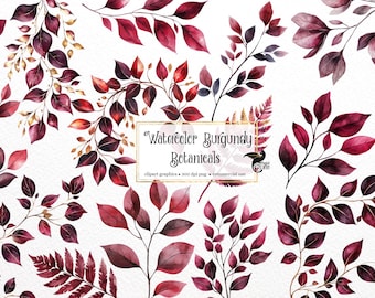 Watercolor Burgundy Botanical Clipart - Fall Leaves PNG (Digital Download)