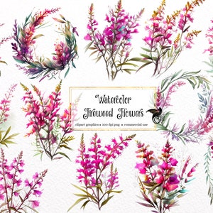 Watercolor Fireweed Flowers Clipart - floral Alaskan flowers and bouquets in PNG format instant download for commercial use