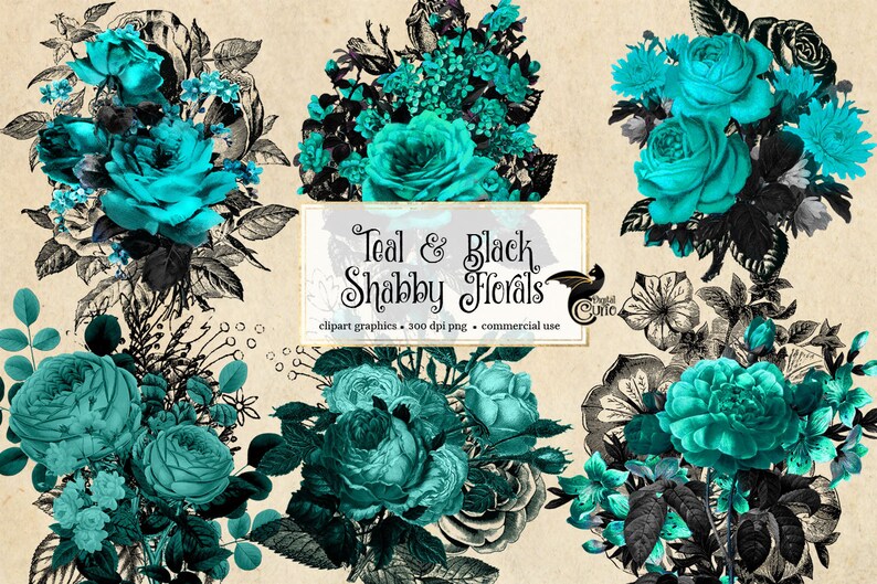 Op de afbeelding: Turquoise en zwarte shabby chic bloemen clipart graphics. De digitale afbeeldingen zijn 300 dpi png-bestanden voor commercieel gebruik.
