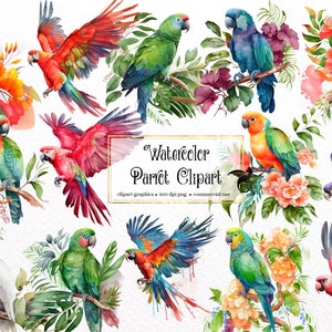 Acquerello Parrot Clipart - uccelli tropicali con fiori e foglie in download istantaneo in formato PNG per uso commerciale