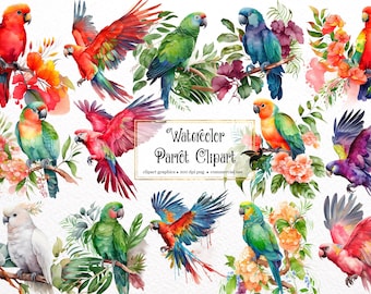 Watercolor Parrot Clipart - tropical birds with flowers and leaves in PNG format instant download for commercial use