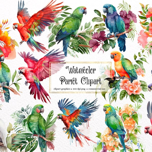 Watercolor Parrot Clipart - tropical birds with flowers and leaves in PNG format instant download for commercial use