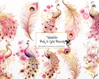 Watercolor Pink and Gold Peacock Clipart, Fantasy Feather Graphics (PNG Digital Download)