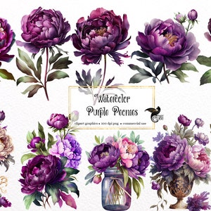 Aquarell Lila Pfingstrose Clipart - Pfingstrosen im PNG-Format zum sofortigen Download für kommerzielle Nutzung