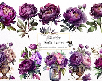 Watercolor Purple Peony Clipart - peonies in PNG format instant download for commercial use