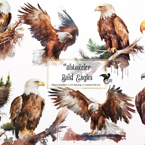 Watercolor Bald Eagle Clipart - alpine forest eagle PNG format instant download for commercial use