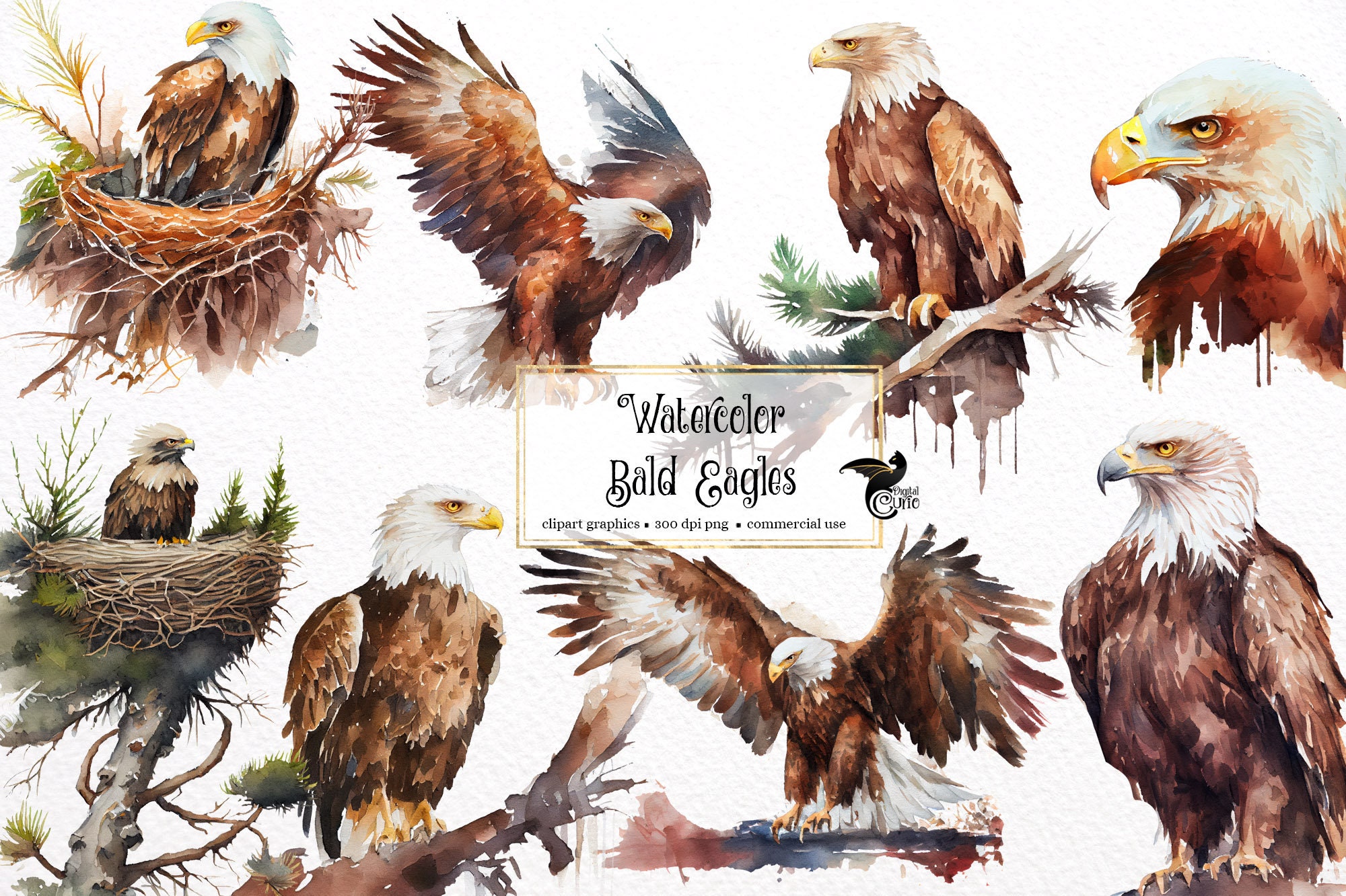 Watercolor Bald Eagle Clipart Alpine Forest Eagle PNG Format - Etsy