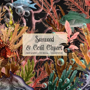 Seaweed and Coral Clipart, vintage nautical ocean fish clipart graphics instant download commercial use