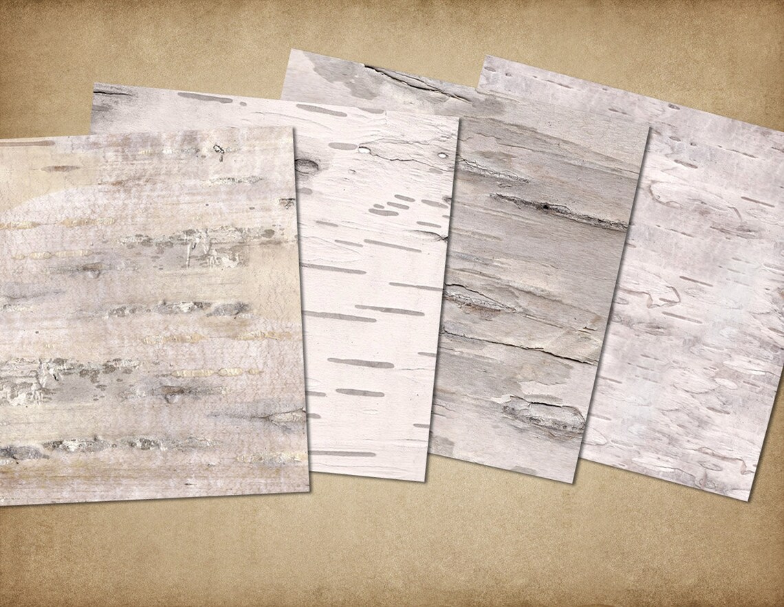 Natural Birch Bark Digital Paper birch bark textures white | Etsy