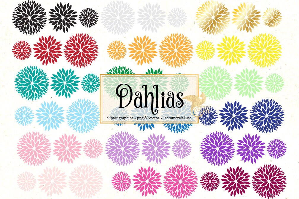 Free Free 175 Dahlia Flower Svg Free SVG PNG EPS DXF File