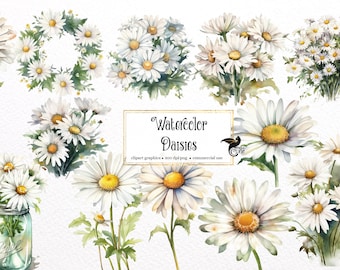 Watercolor Daisies Clipart - spring floral PNG format instant download for commercial use
