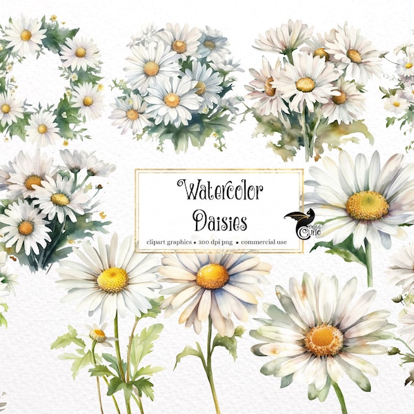 Watercolor Daisies Clipart - spring floral PNG format instant download for commercial use