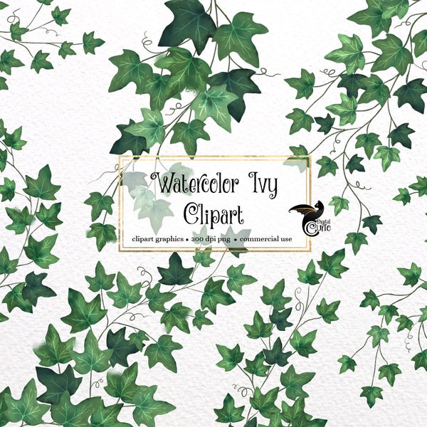 Watercolor Ivy Clip Art - digital climbing ivy vines clipart graphics in PNG format instant download for commercial use
