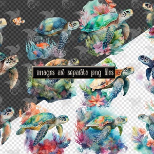 May include: Watercolor illustrations of sea turtles in various poses, surrounded by coral and aquatic plants. The turtles feature shades of green, blue, and brown. The text "images are separate png files" is visible.