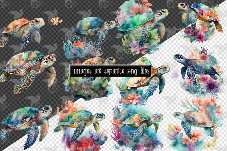 May include: Watercolor illustrations of sea turtles in various poses, surrounded by coral and aquatic plants. The turtles feature shades of green, blue, and brown. The text "images are separate png files" is visible.