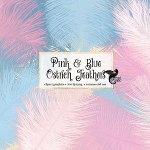 Rosa und blaue Straußenfedern Clipart, boho Baby-Dusche-Clip-Art sofortigen Download Feder Grafiken für kommerzielle Nutzung