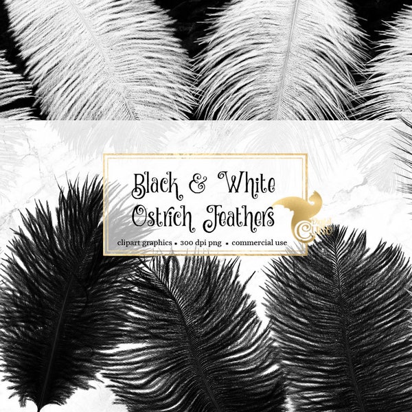 Black and White Ostrich Feathers Clipart, boho or Mardi Gras clip art instant download feather graphics for commercial use