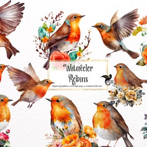 Aquarela Robins Clipart - pássaros e flores fofos da primavera download instantâneo em formato PNG para uso comercial