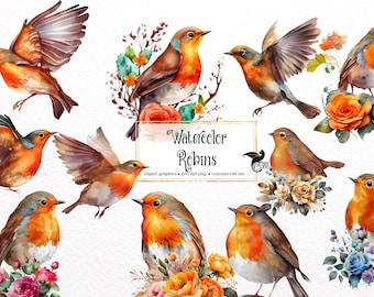 Aquarell Rotkehlchen Clipart - Frühling Vögel & Blüten PNG (Kommerzielle Nutzung)