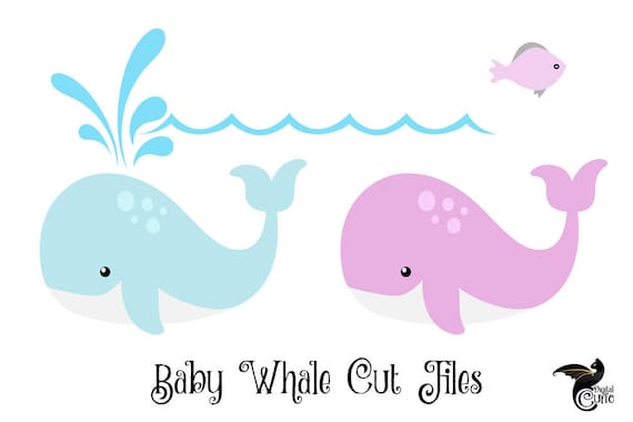 Download Baby Whale SVG whale svg whale svg whale clipart Cricut | Etsy