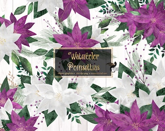 Watercolor Purple Poinsettias Clip Art - digital Christmas holiday flowers in red and white with gold glitter for commercial use