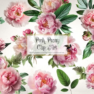 Rosa Pfingstrosen Clip Art, digitaler sofortiger Download Pfingstrose Blume png Verzierungen, rosa Blumen für kommerzielle Nutzung
