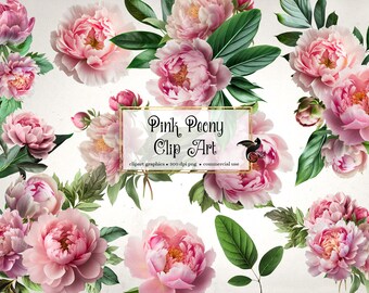 Pink Peonies Clip Art, Floral Bouquets, Flower Embellishments (Digital Download)