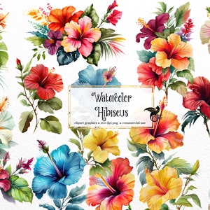 Aquarell Hibiskus Clipart, tropische Blumensträuße und Blumen PNG Clip Art Grafiken sofortiger Download für kommerzielle Nutzung