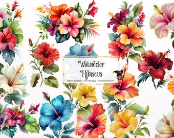 Watercolor Hibiscus Clipart, Tropical Floral Bouquets (PNG Digital Download)