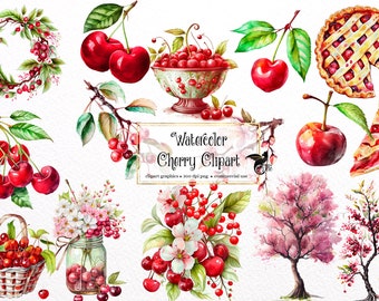 Acquerello Cherry Clipart - grafica di ciliegie png digitale per uso commerciale di download istantaneo