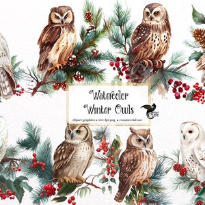 Aquarell Winter Eulen Clipart - niedliche Eule ClipArt im PNG-Format sofortiger Download für kommerzielle Nutzung