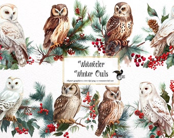 Watercolor Winter Owls Clipart - cute owl clip art in PNG format instant download for commercial use