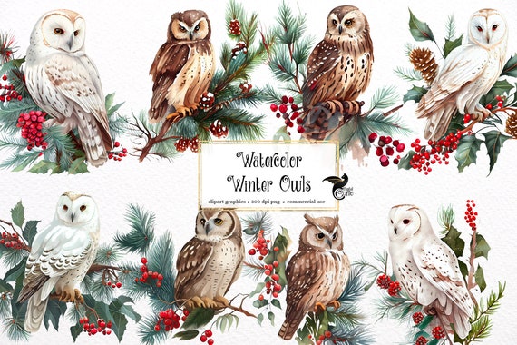 Watercolor Winter Owls Clipart – PNG Format, Commercial Use (Digital Download)