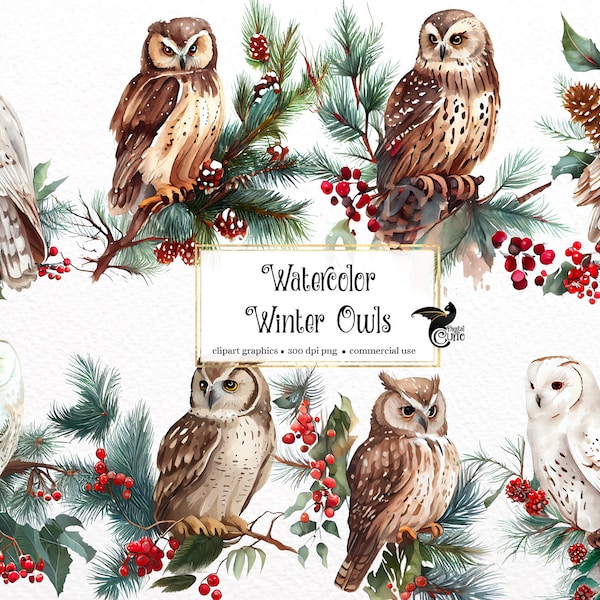 Watercolor Winter Owls Clipart - cute owl clip art in PNG format instant download for commercial use