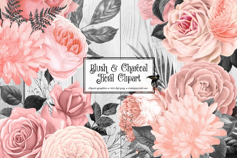 Blush and Charcoal Floral Clipart Pink and Black Rustic Etsy Canada