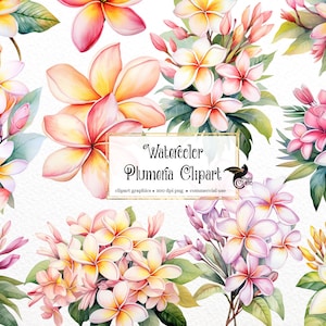 Watercolor Plumeria Clipart - tropical flowers PNG format instant download for commercial use