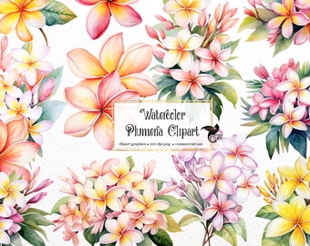 Watercolor Plumeria Clipart - tropical flowers PNG format instant download for commercial use