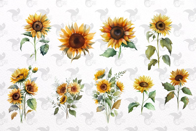 Watercolor Sunflower Clipart – Fall Floral Bouquets (PNG, Digital Download) image 3