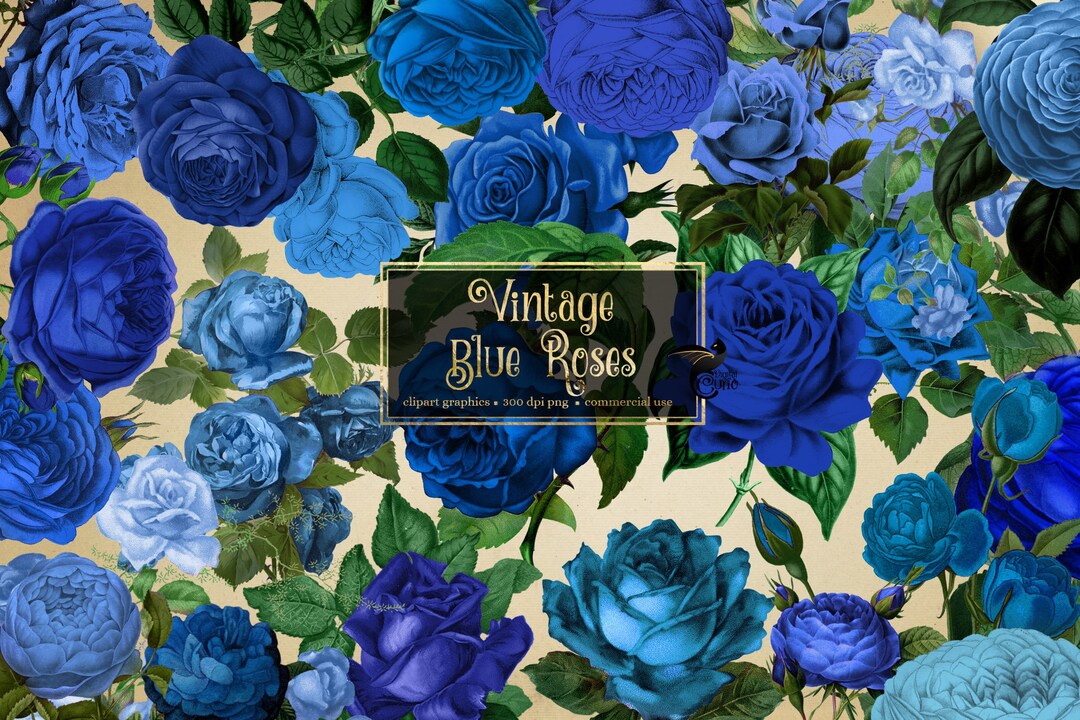 Vintage Blue Roses Clipart, Antique Rose Illustrations PNG Format ...