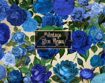 Vintage Blue Roses Clipart Antique Rose Illustrations PNG - Etsy