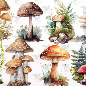 Op de afbeelding: Waterverfillustratie van verschillende paddenstoelen in verschillende kleuren en maten, waarbij sommige paddenstoelen in clusters groeien. De paddenstoelen worden omringd door groene varens en bladeren, wat een fantasierijke bos sc&egrave;ne cre&euml;ert.