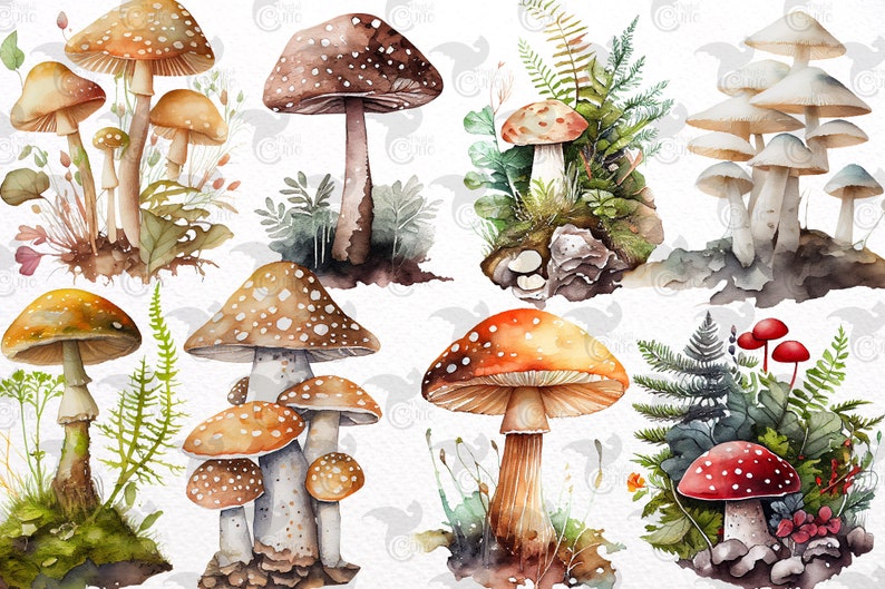 Op de afbeelding: Waterverfillustratie van verschillende paddenstoelen in verschillende kleuren en maten, waarbij sommige paddenstoelen in clusters groeien. De paddenstoelen worden omringd door groene varens en bladeren, wat een fantasierijke bos sc&egrave;ne cre&euml;ert.
