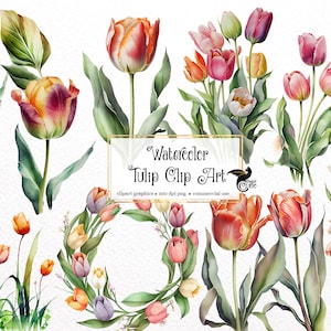 Aquarel Tulpen Clip Art - PNG formaat bloem clipart instant download voor commercieel gebruik
