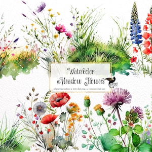 Aquarela Meadow Flowers Clipart - primavera flores silvestres florais formato PNG download instantâneo para uso comercial
