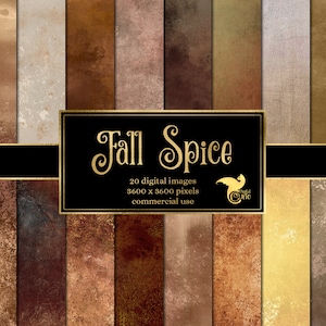 Fall Spice Digital Paper - distressed grunge autumn earth tone textures instant download for commercial use