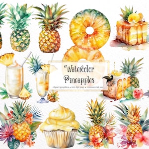 Watercolor Pineapple Clipart - digital png tropical fruit graphics for instant download commercial use