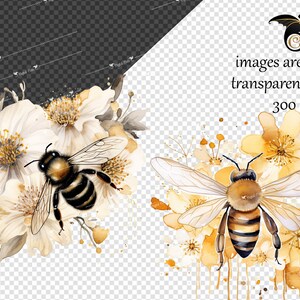 May include: Watercolor illustrations of bees and flowers. The image features two separate arrangements, one with white flowers and the other with yellow flowers. The bees have black and yellow striped bodies and transparent wings. The text "images are separate transparent png files 300 dpi" is included.