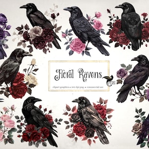 May include: Digital graphic featuring black ravens with floral arrangements of red, pink, and purple roses. The text "Floral Ravens" is displayed within a gold frame. Ideal for digital art projects.